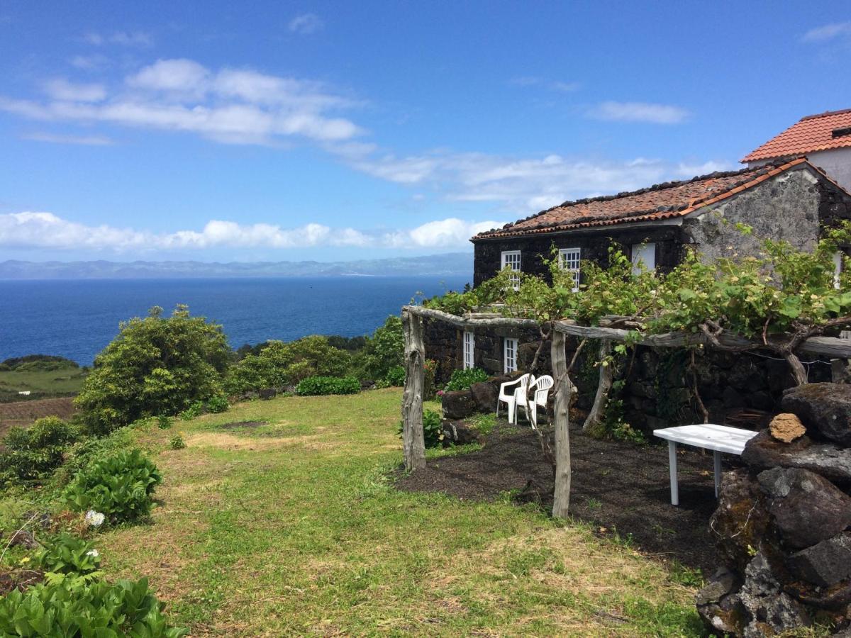 Santo Antonio  Casa Do Castanheiroヴィラ エクステリア 写真