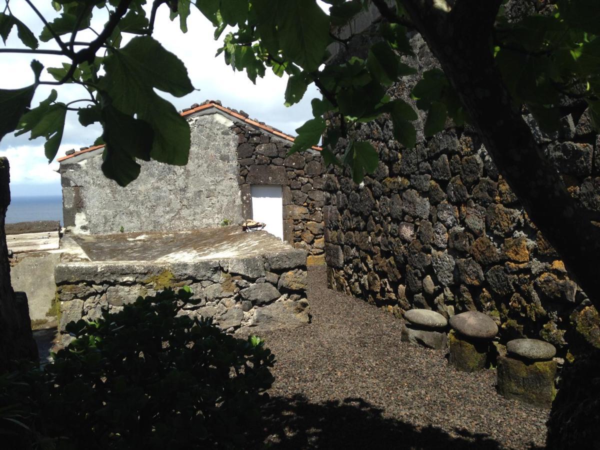 Santo Antonio  Casa Do Castanheiroヴィラ エクステリア 写真