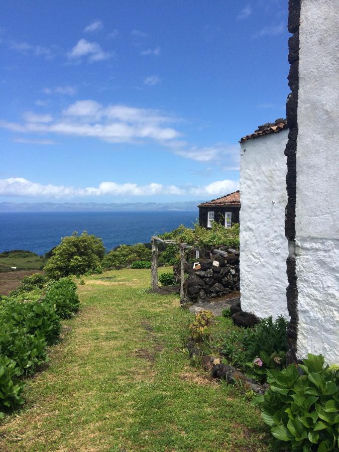 Santo Antonio  Casa Do Castanheiroヴィラ エクステリア 写真